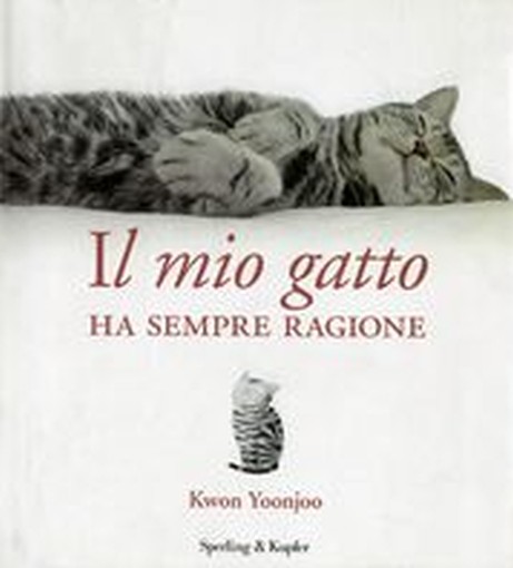 MIO GATTO HA SEMPRE RAGIONE (IL)