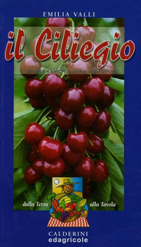 CILIEGIO (IL)