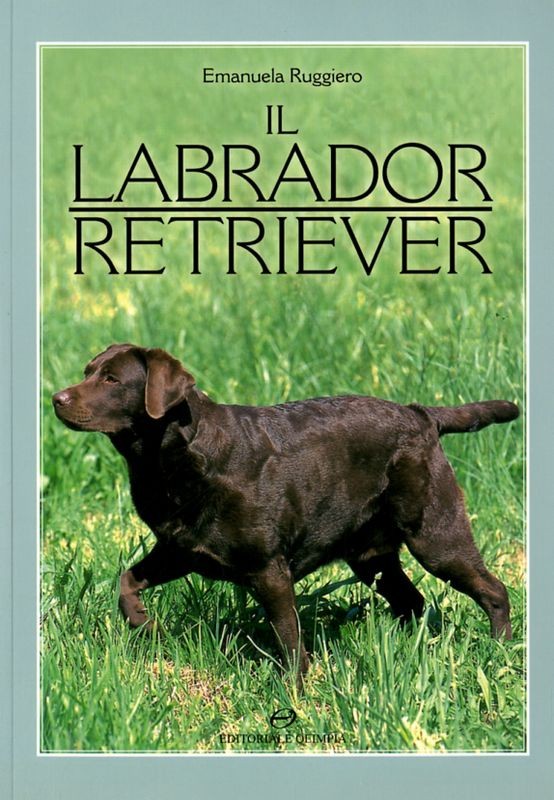 LABRADOR RETRIEVER (IL)