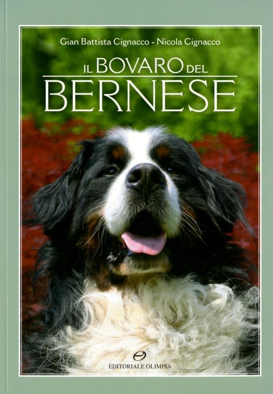 BOVARO DEL BERNESE (IL)