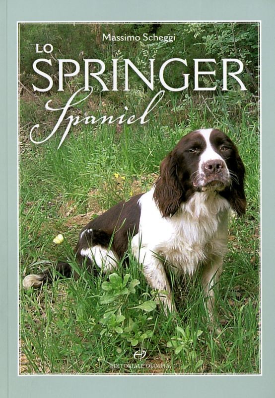SPRINGER SPANIEL (LO)