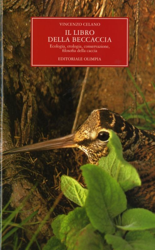 LIBRO DELLA BECCACCIA (IL)