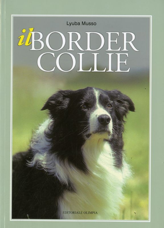 BORDER COLLIE (IL)