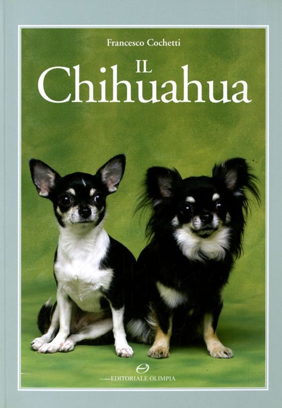 CHIHUAHUA (IL)