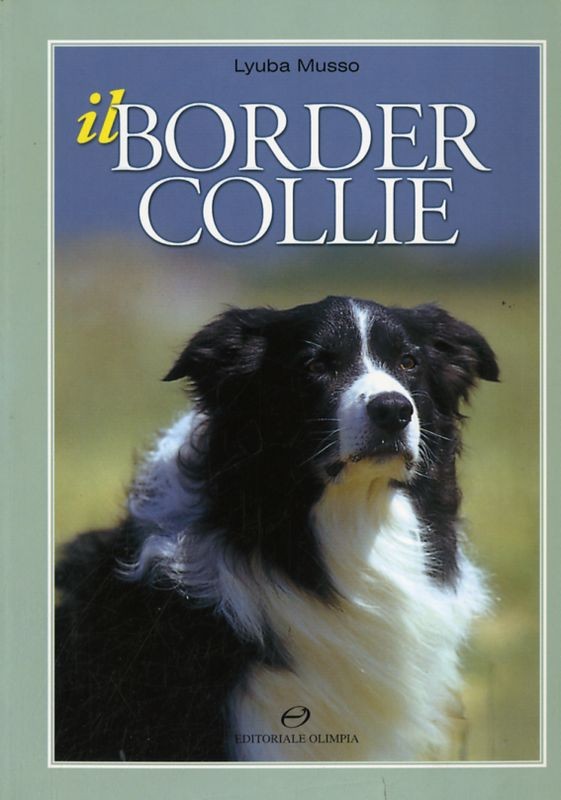 BORDER COLLIE (IL)