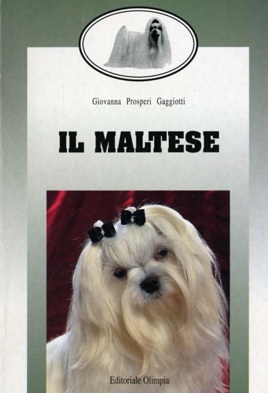 MALTESE (IL)