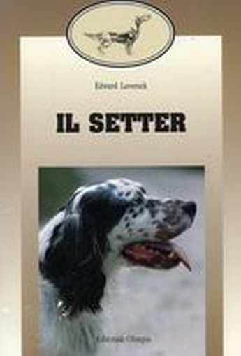 SETTER (IL)