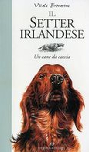 SETTER IRLANDESE (IL)
