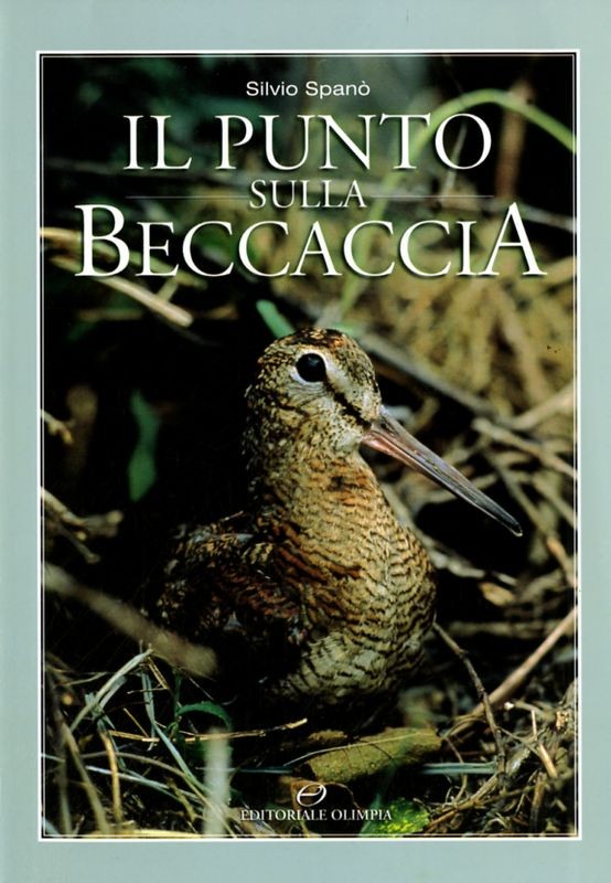 PUNTO SULLA BECCACCIA (IL)