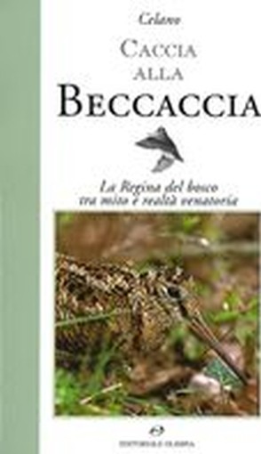 CACCIA ALLA BECCACCIA