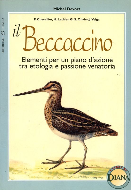 BECCACCINO (IL)