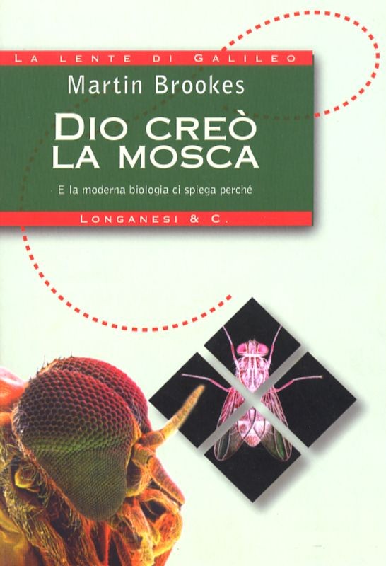 DIO CREO' LA MOSCA
