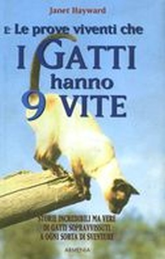 PROVE VIVENTI CHE I GATTI HANNO 9 V