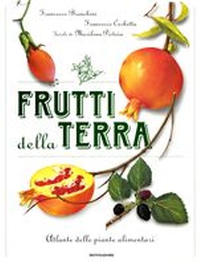 FRUTTI DELLA TERRA