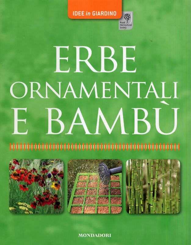 ERBE ORNAMENTALI E BAMBU'