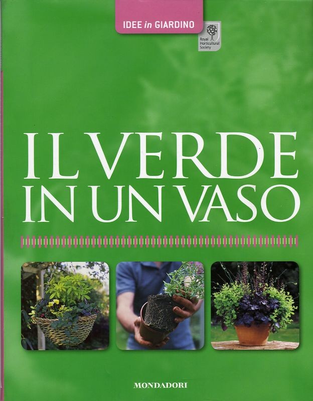VERDE IN UN VASO (IL)
