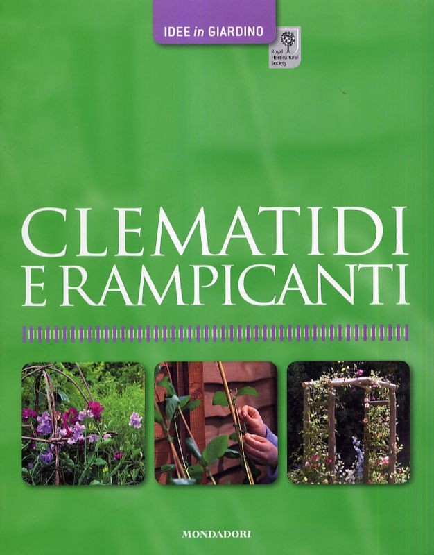 CLEMATIDI E RAMPICANTI
