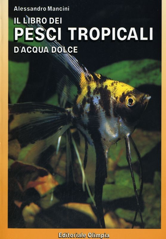 PESCI TROPICALI D'ACQUA DOLCE