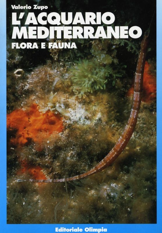 ACQUARIO MEDITERRANEO FLORA E FAUNA