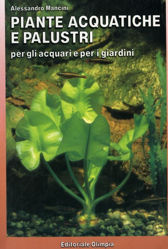 PIANTE ACQUATICHE E PALUSTRI