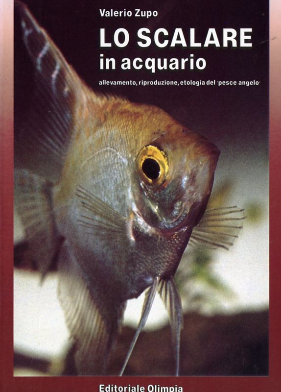 SCALARE IN ACQUARIO (LO)