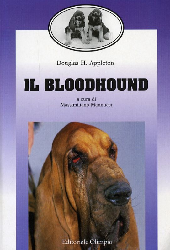 BLOODHOUND (IL)