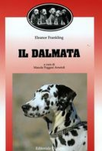 DALMATA (IL)