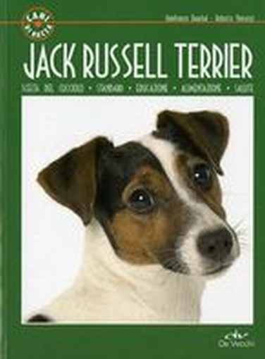 JACK RUSSEL TERRIER