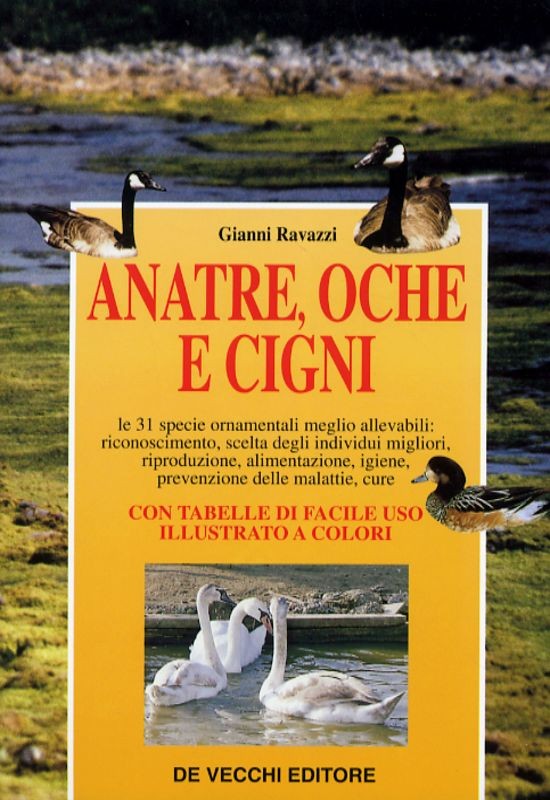 ANATRE OCHE E CIGNI