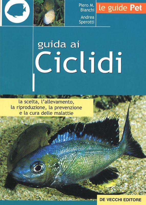 CICLIDI I
