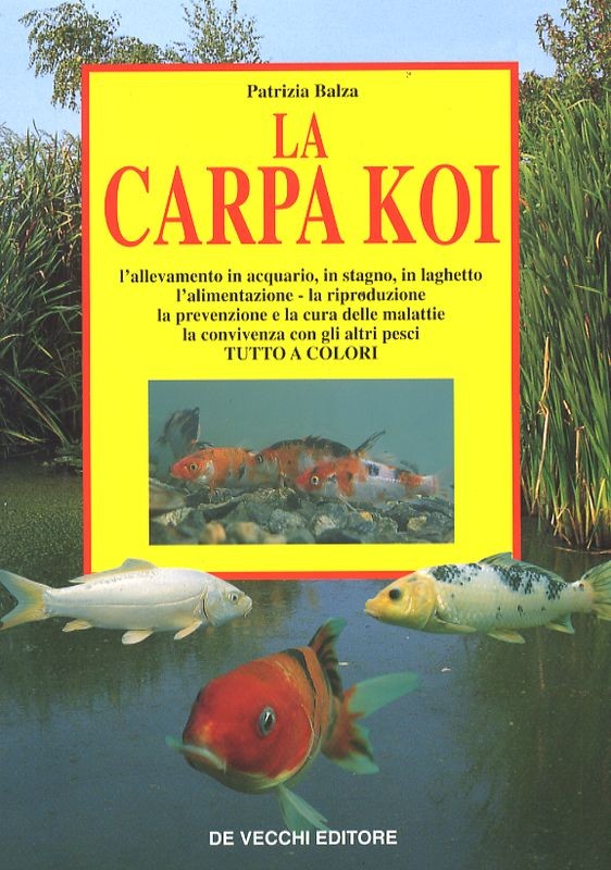 CARPA KOI (LA)