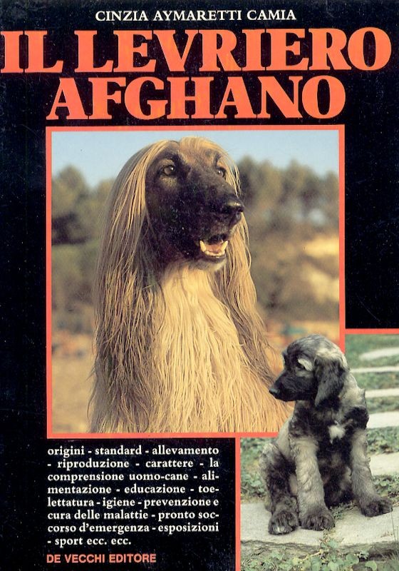 LEVRIERO AFGHANO (IL)
