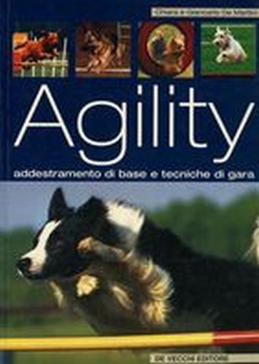 AGILITY