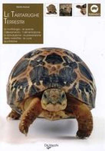 TARTARUGHE TERRESTRI (LE)