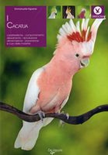 CACATUA (I)