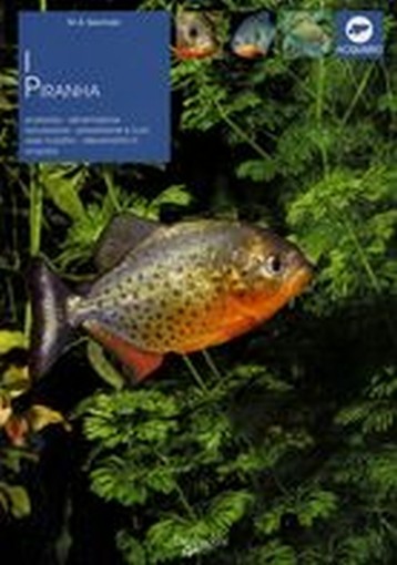 PIRANHA (I) Germain Marie-Sophie