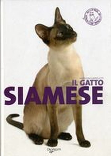 GATTO SIAMESE (IL)