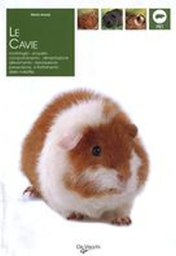 CAVIE (LE)
