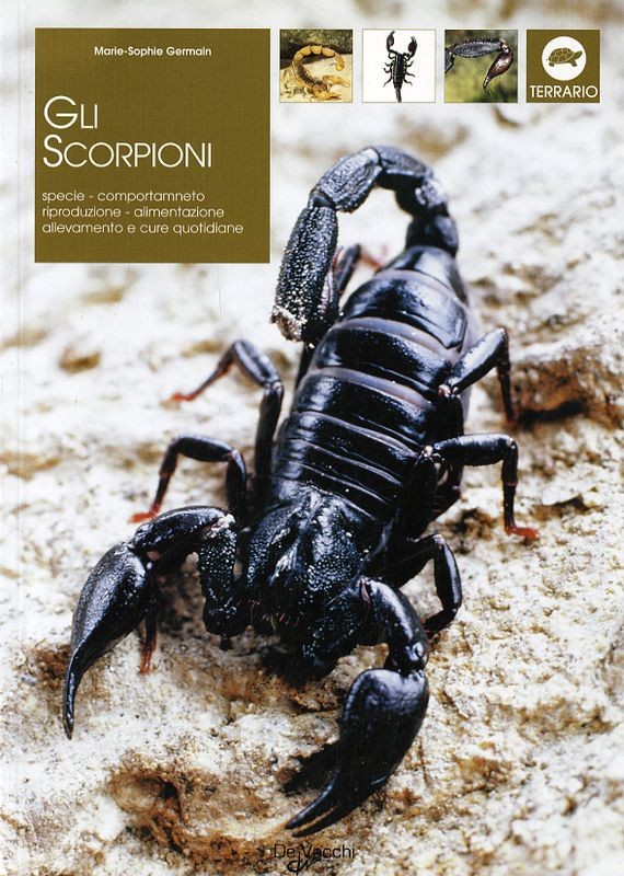 SCORPIONI (GLI)