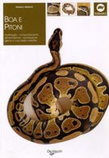 BOA E PITONI