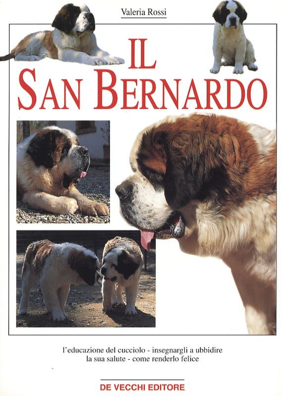 SAN BERNARDO (IL)