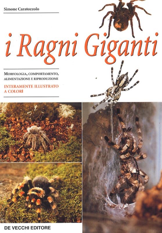 RAGNI GIGANTI (I)