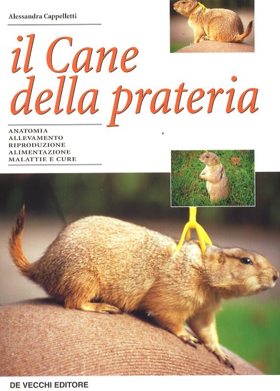 CANE DELLA PRATERIA (IL)