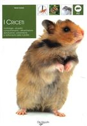 CRICETI (I)