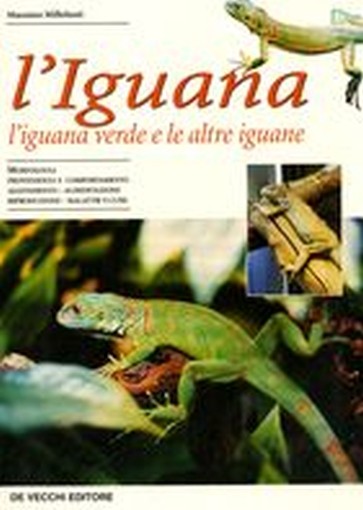 IGUANA (L')