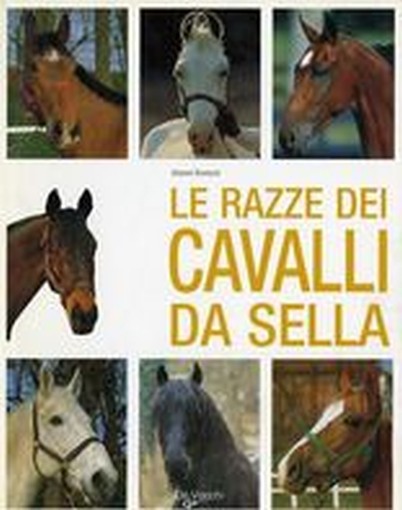 RAZZE DEI CAVALLI DA SELLA (LE)