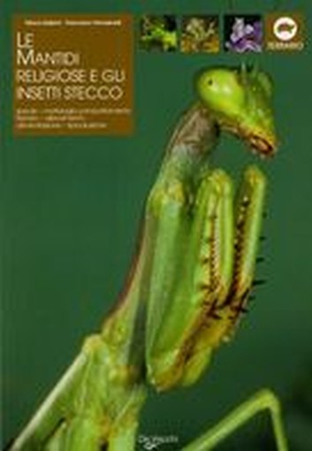 MANTIDI RELIGIOSE E GLI INSETTI STE