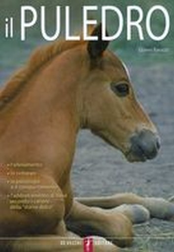 PULEDRO (IL)
