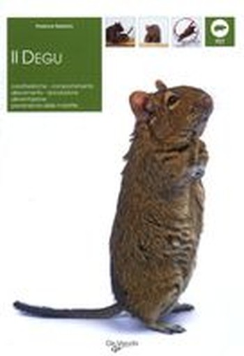 DEGU (IL)