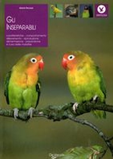 INSEPARABILI (GLI)